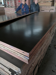 Top Quality Waterproof Film Faced Plywood Used for Concrete