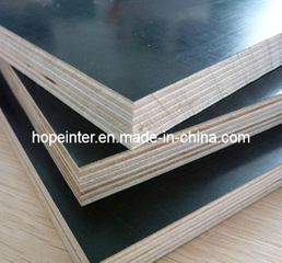 Red/Black/Brown Film Faced Plywood/Shuttering Plywood/Marine Plywood