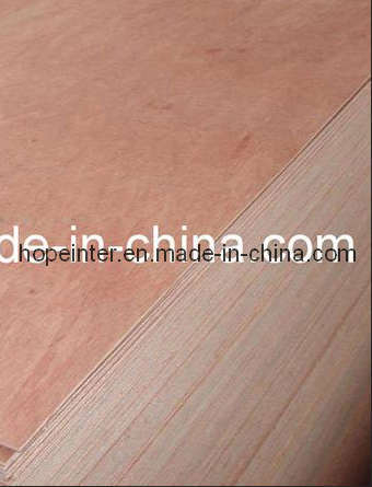 Bintangor Plywood/Plywood (HL027)
