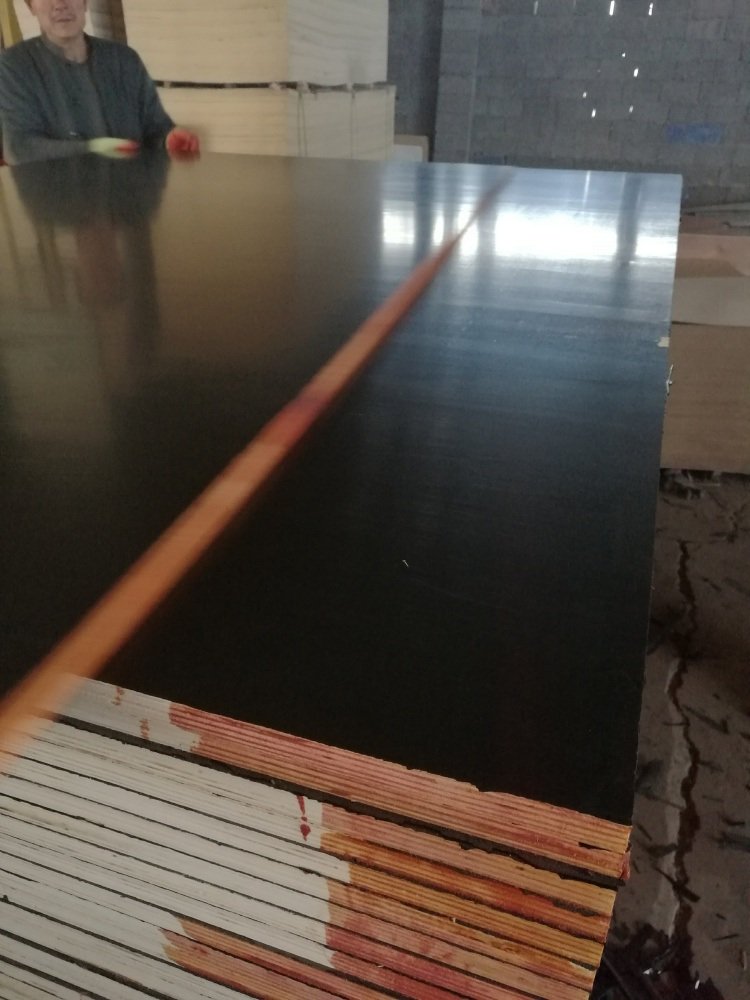 21mm Black Film Faced Plywood Poplar Core First Grade
