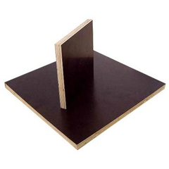 Glossy Film Faced Plywood