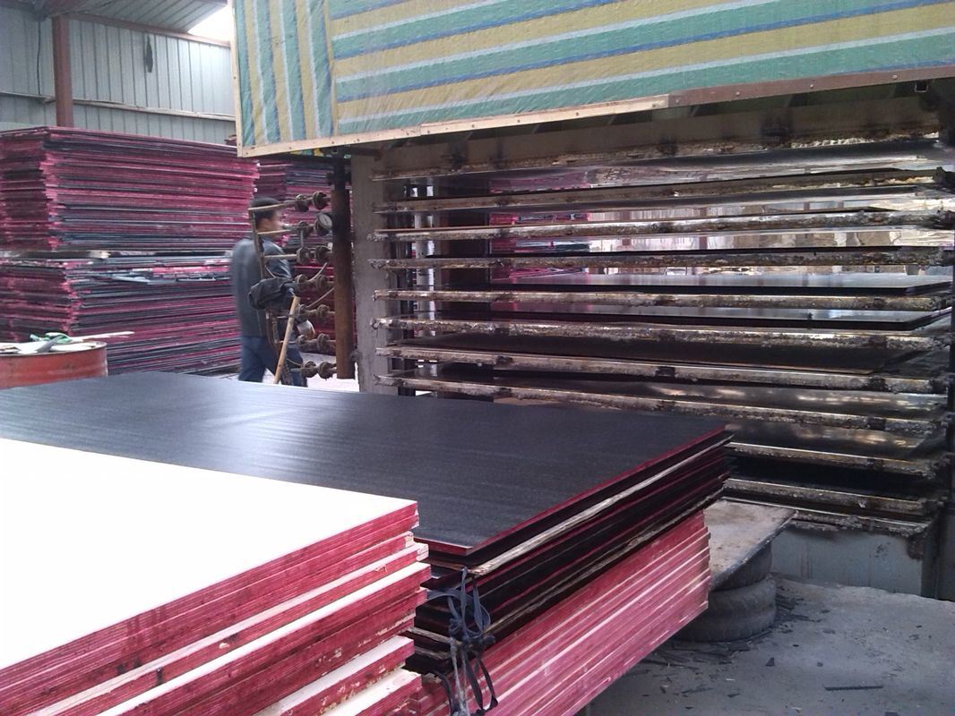 1250*2500mm Size Film Faced Plywood for Construction