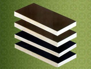 Phenolic Glue Formwork Laminated Plywood Birch Core for Constructions