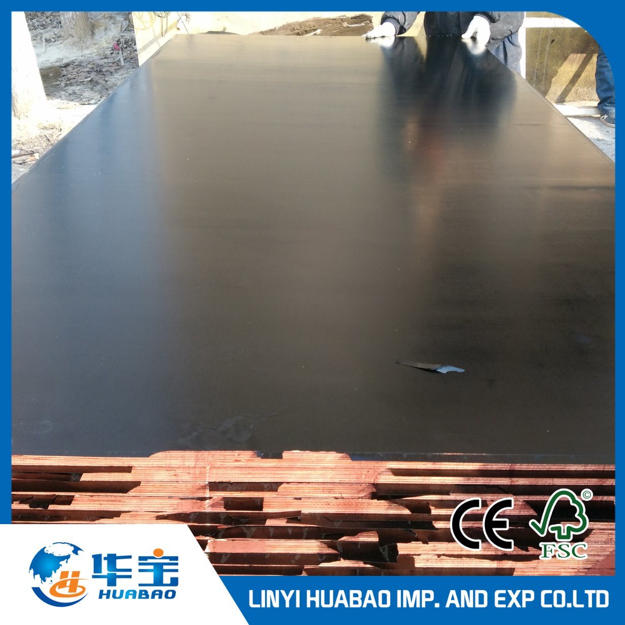 Waterproof Ply Wood for Constructions
