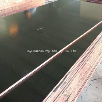 12mm Poplar Core Film Faced Plywood