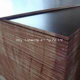 18mm Brown Film Faced Plywood for Construction Plywood (ZBP009)