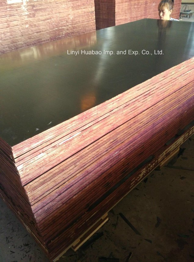 Film Faced Plywood for Building Construction