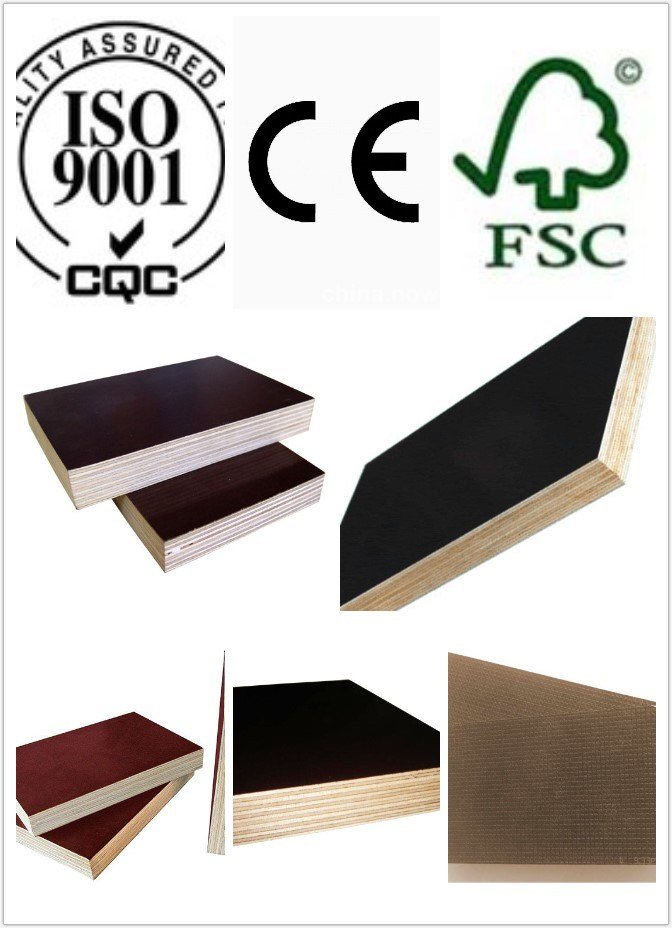 Marine Plywood Poplar Core WBP Glue 1220*2440mm (HB119)