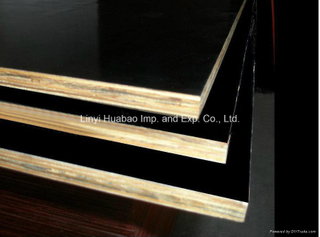 Black Film Faced Plywood-18mm and 21mm Thickness