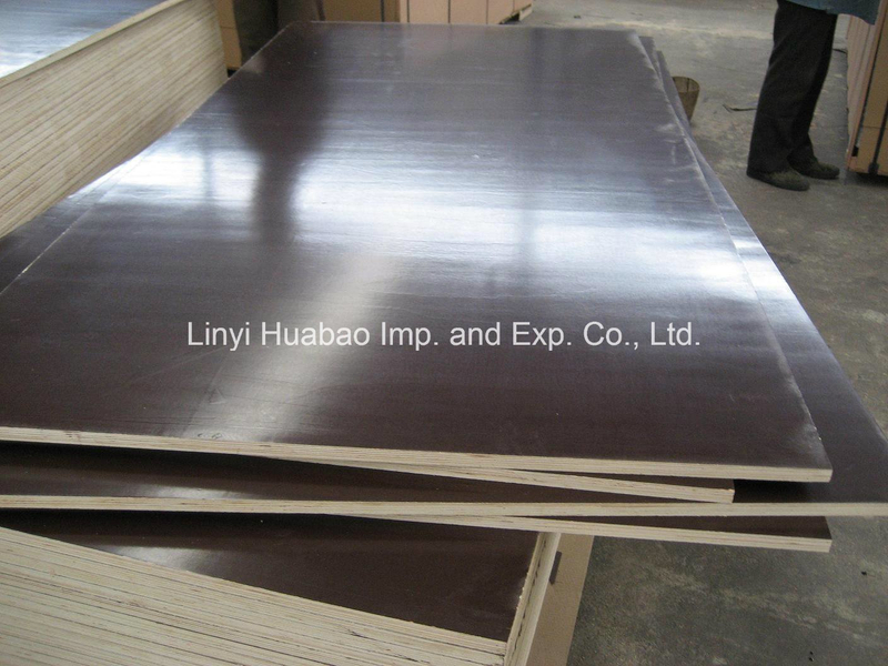 18mm Poplar/Hardwood Core Shutter Plywood