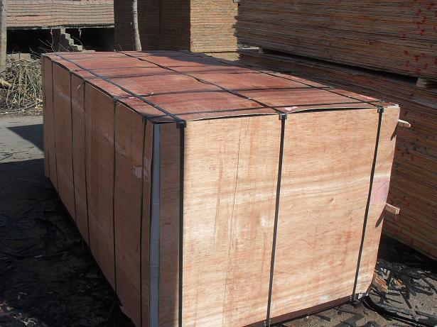 21mm Poplar Core Brown Shuttering Film Faced Plywood for Concrete