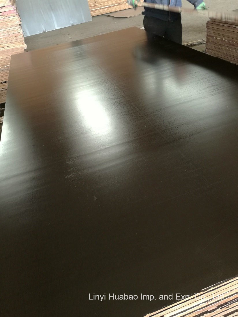 21mm Poplar Core Black Film Faced Plywood
