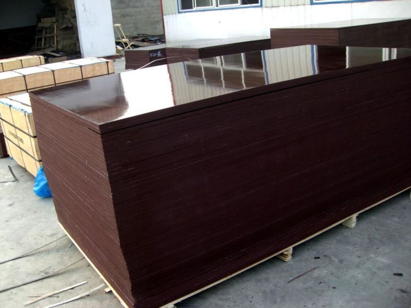 Hot Sales Black/Brown Construction Plywood/Marine Plywood/Shuttering Plywood