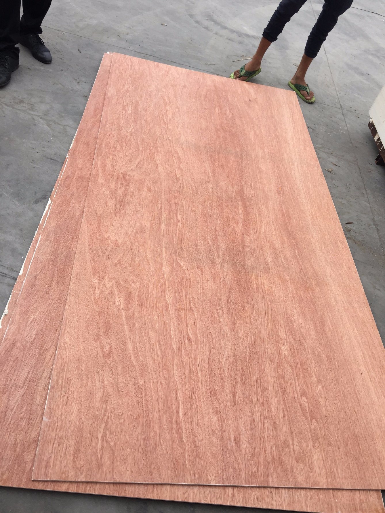 Bintangor-Okomue-Sepali-Veneer-Plywood