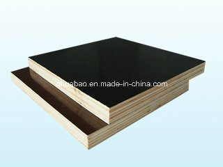 Poplar Core Shuttering Plywood/Film Faced Plywood
