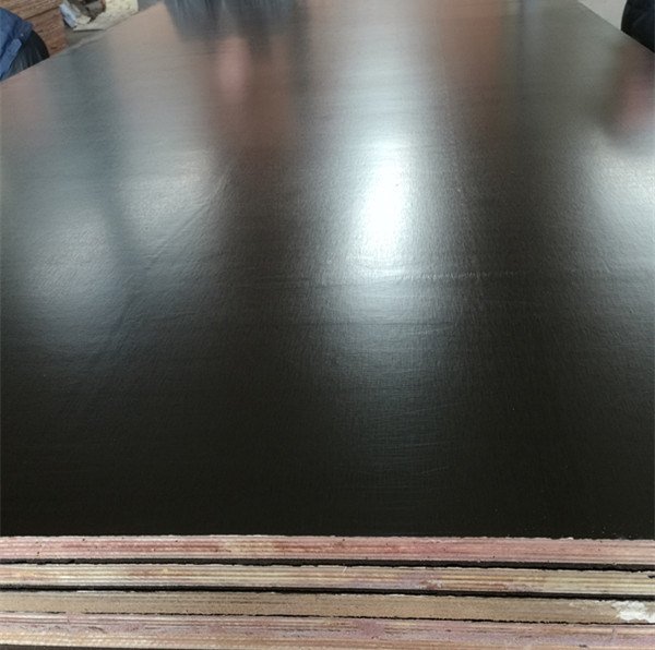 18mm Poplar Shuttering Plywood with Black/Brown Film for Constructions