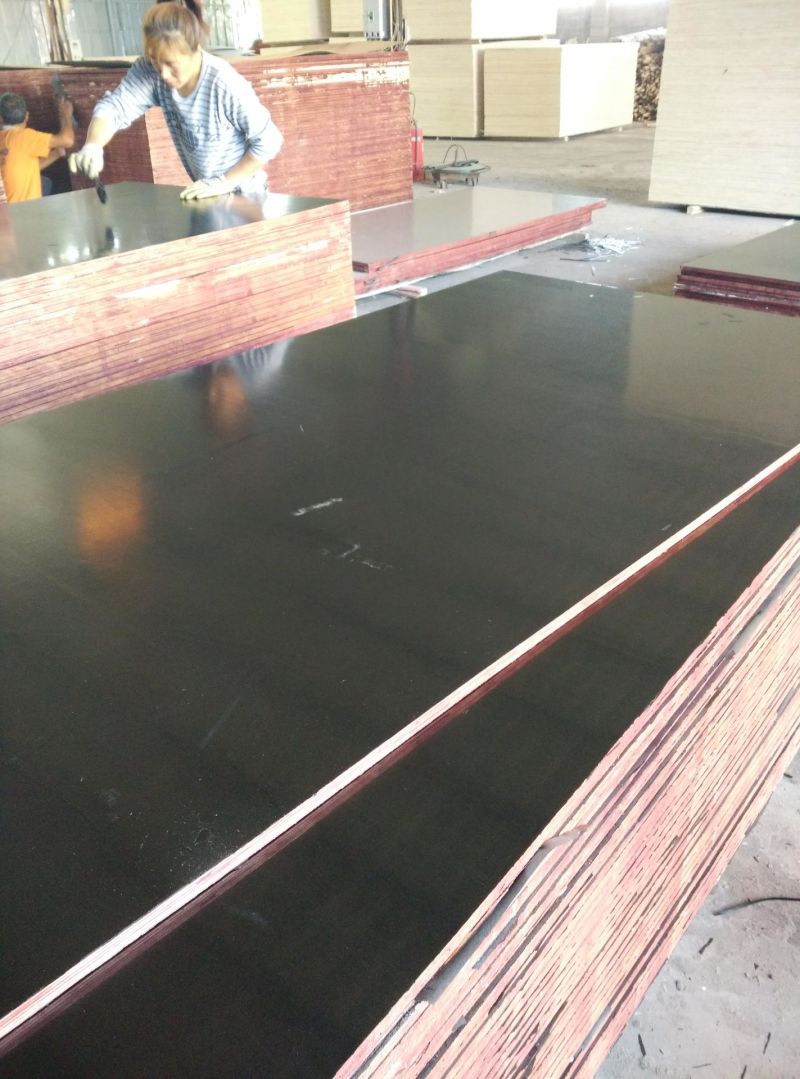Marine Film Faced Plywood/Shuttering Plywood/Construction Plywood for Concrete