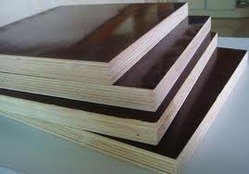 Brown or Black Film Faced Plywood