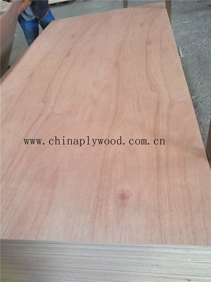 BB/CC Grade Poplar/Combined Core Commercial Plywood