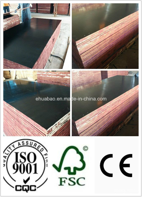 Top Quality Black Film Faced Plywood