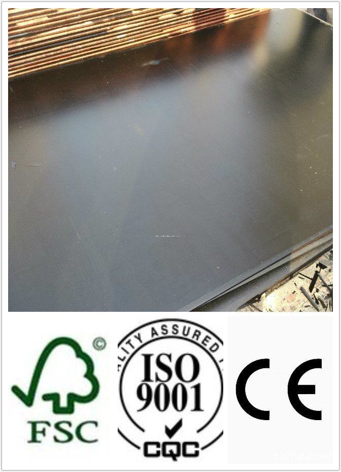 21mm Wood Plywood with Black Film for Concrete Usages