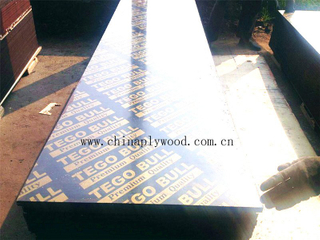 18mm Poplar Core Shuttering Plywood WBP Glue