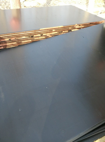 Poplar Film Faced Plywood with Brown/Black Film