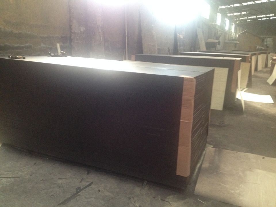 Top Quality Film Faced Plywood with Birch Core Phenolic Glue