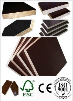 Huabao Top Quality Film Faced Plywood/Marine Plywood