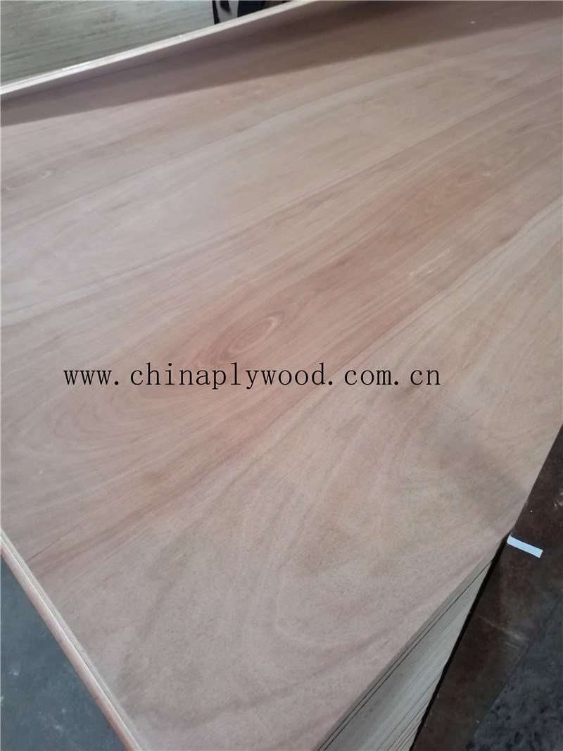 BB/CC Grade Poplar/Combined Core Commercial Plywood