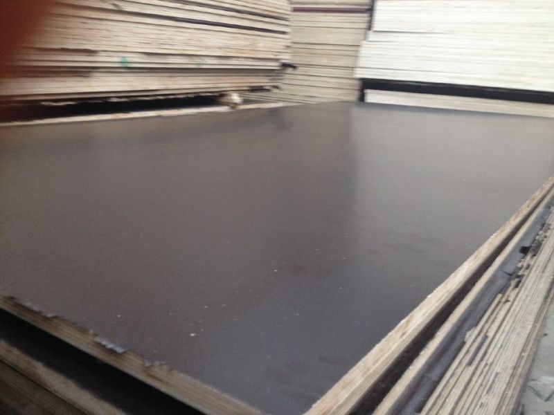 Birch Shuttering Film Faced Plywood/Marine Plywood with Logo (HB004)