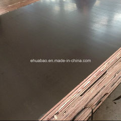 12mm Poplar Core Film Faced Plywood Brown Film First Grade