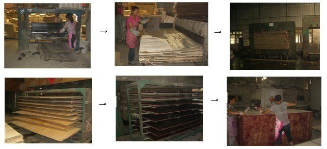 18mm First Grade Film Faced Plywood