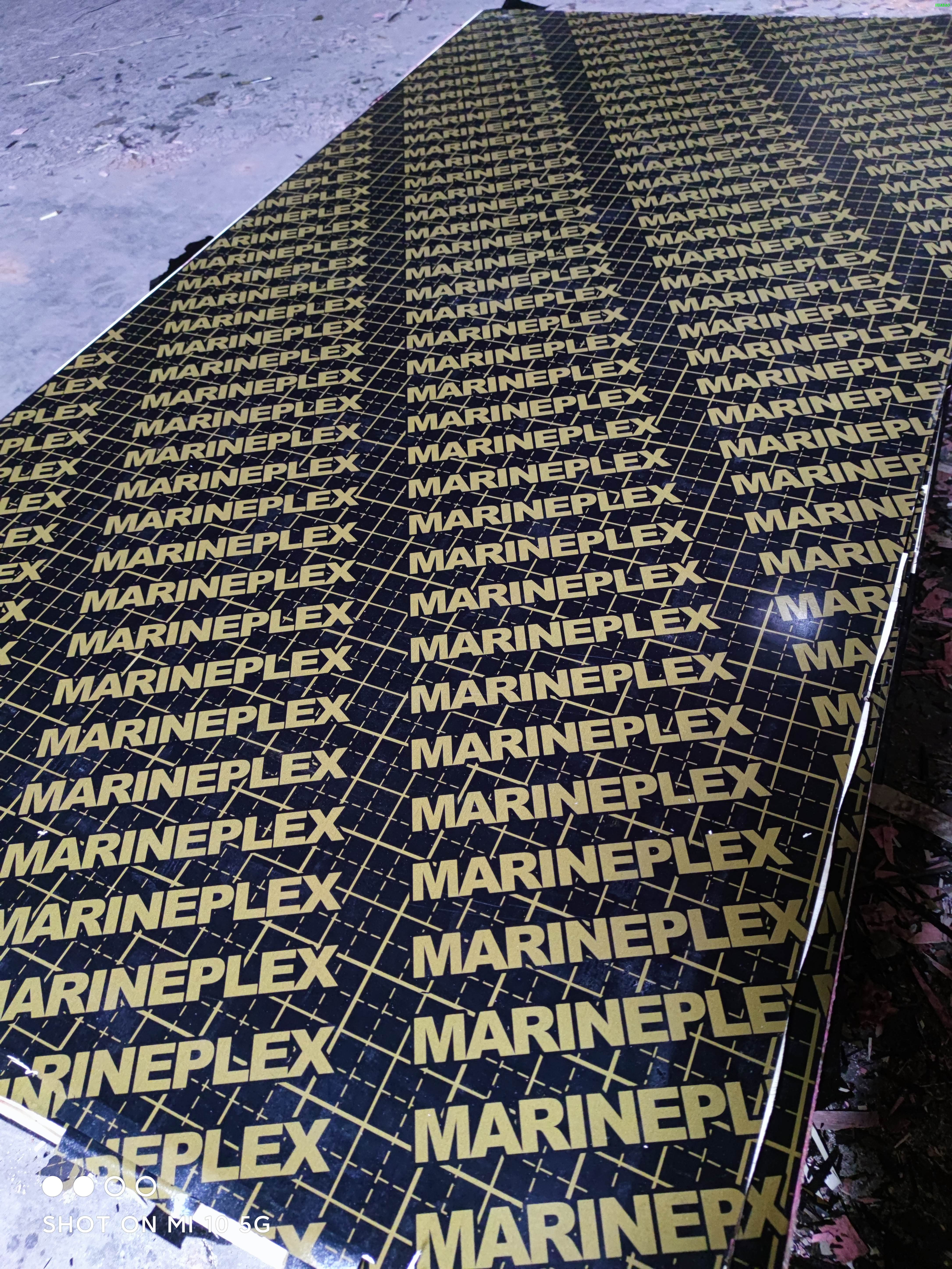 18mm Marineplex Film Faced Plywood Poplar Core for Middel-East Markets